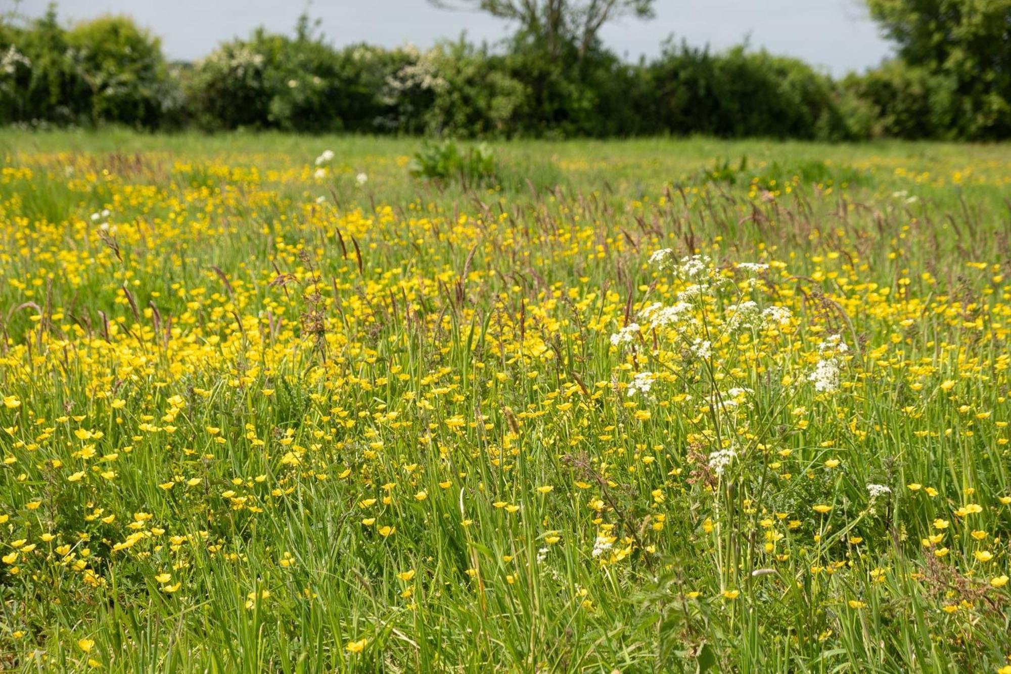 East Green Farm Cottages - The Granary Saxmundham Eksteriør billede